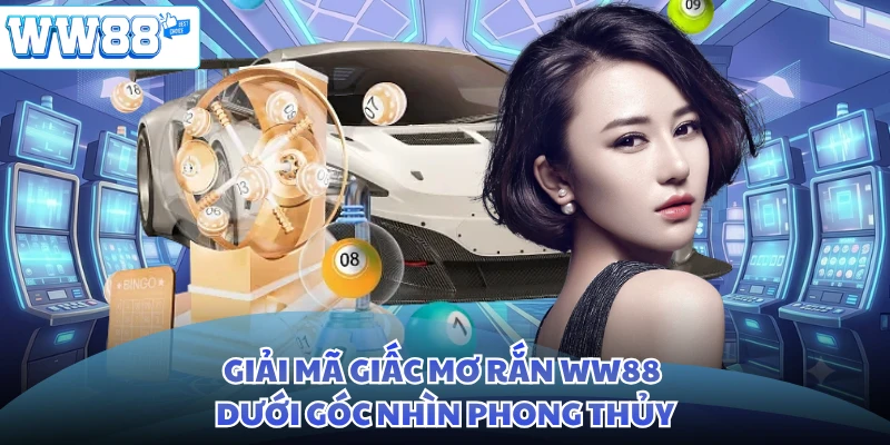 Giải mã giấc mơ rắn WW88 dưới góc nhìn phong thủy