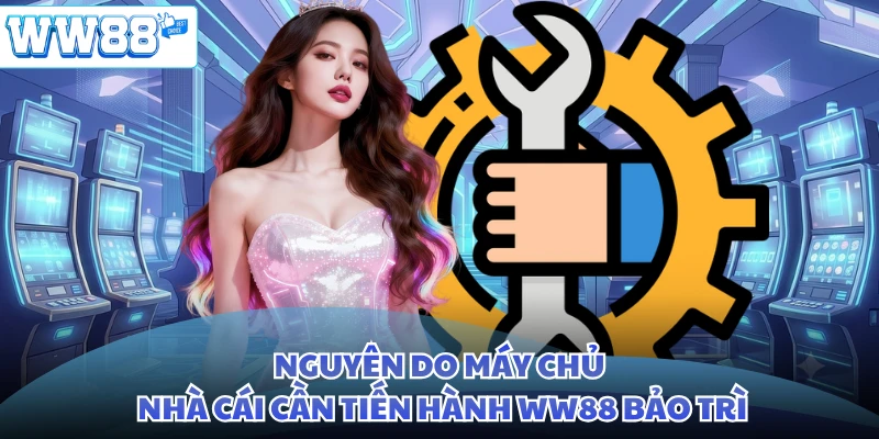 Nguyên do máy chủ nhà cái cần tiến hành WW88 bảo trì