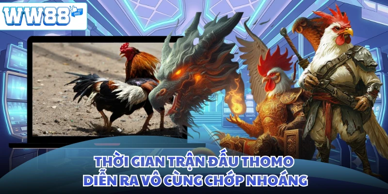 Thời gian trận đấu Thomo diễn ra vô cùng chớp nhoáng